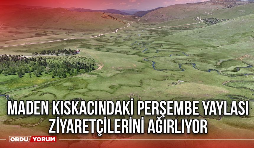 Maden Kıskacındaki Perşembe Yaylası Ziyaretçilerini Ağırlıyor
