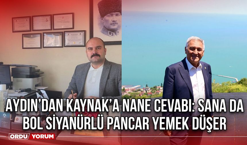 Aydın’dan Kaynak’a Nane Cevabı: Sana da Bol Siyanürlü Pancar Sapı Yemek Düşer