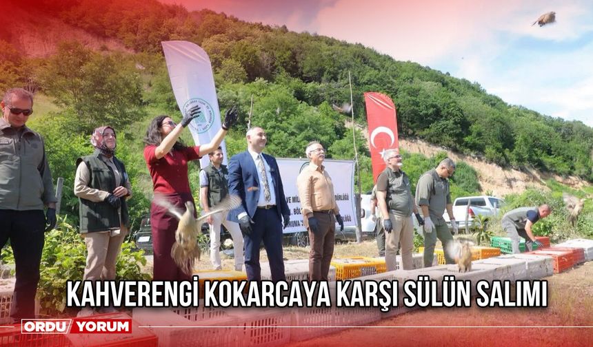 Kahverengi Kokarcaya Karşı Sülün Salımı