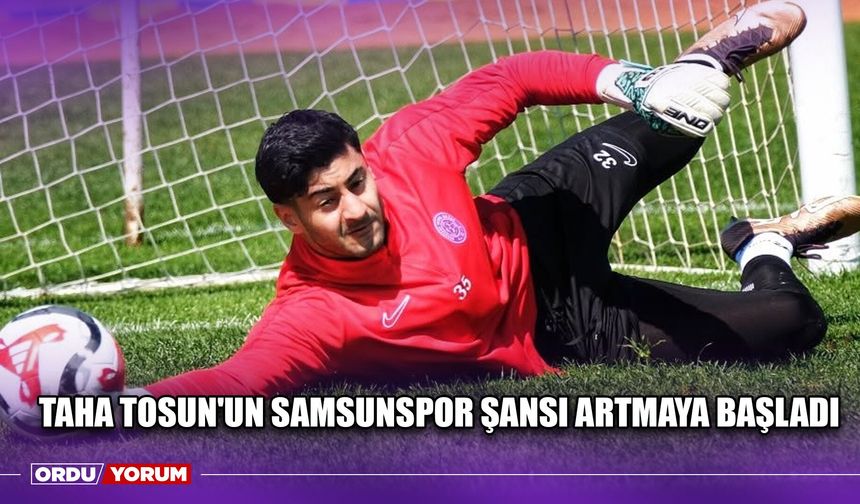 Taha Tosun'un Samsunspor Şansı Artmaya Başladı