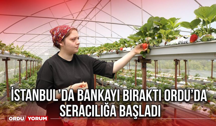İstanbul’da Bankayı Bıraktı Ordu’da Seracılığa Başladı