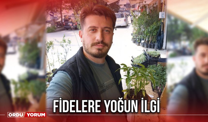 Fidelere Yoğun İlgi