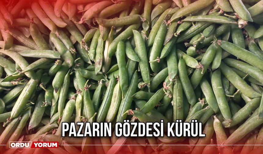 Pazarın Gözdesi Kürül