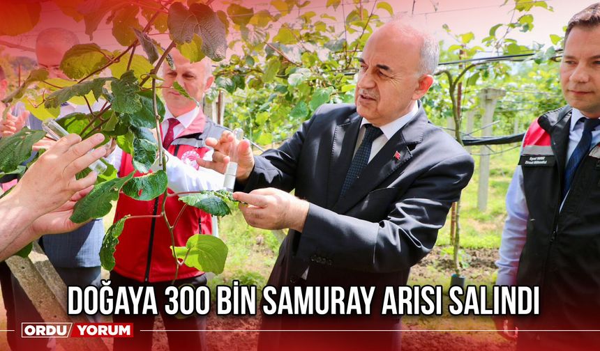 Doğaya 300 Bin Samuray Arısı Salındı