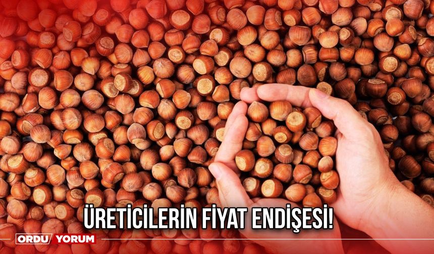 Üreticilerin Fiyat Endişesi!