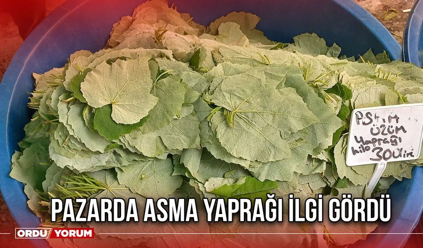 Pazarda Asma Yaprağı İlgi Gördü