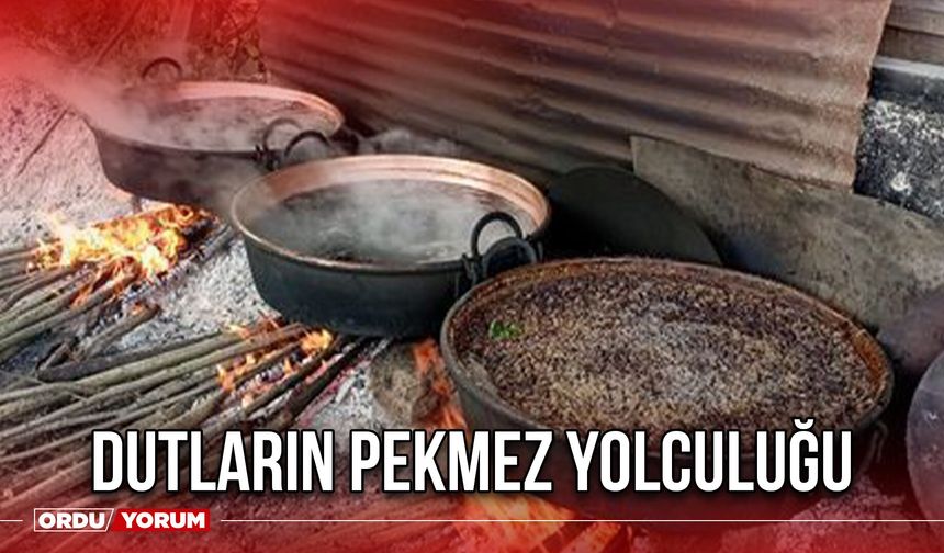 Dutların Pekmez Yolculuğu