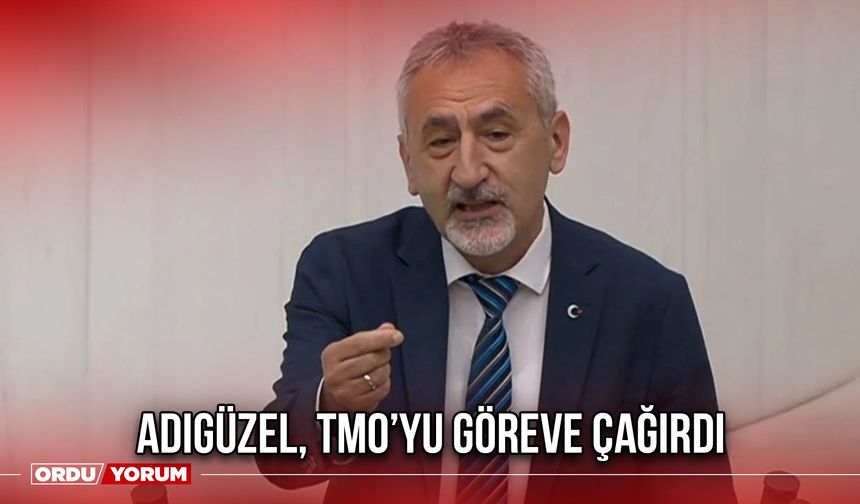 Adıgüzel, TMO’yu Göreve Çağırdı