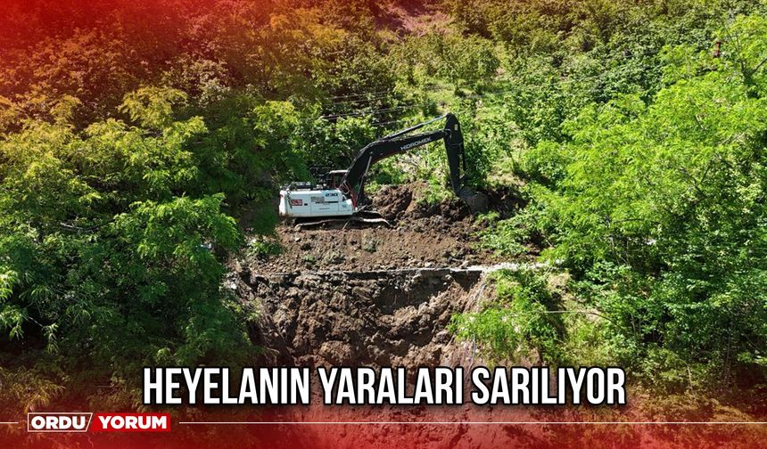 Heyelanın Yaraları Sarılıyor