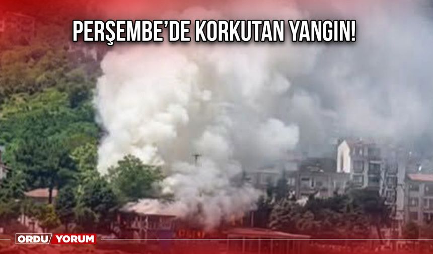 Perşembe’de Korkutan Yangın!