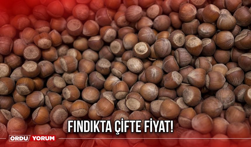 Fındıkta Çifte Fiyat!
