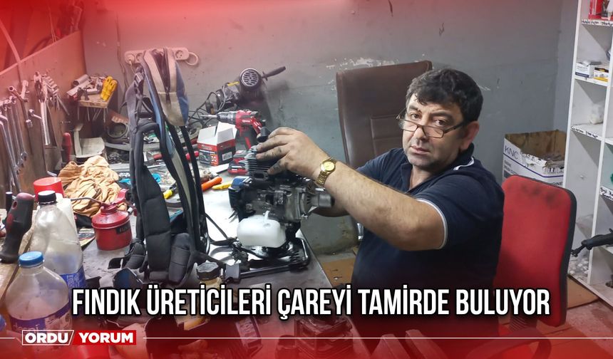 Fındık Üreticileri Çareyi Tamirde Buluyor