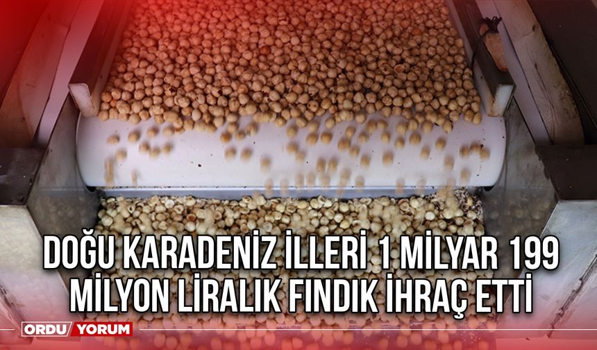 Doğu Karadeniz İlleri 1 milyar 199 milyon Liralık Fındık İhraç etti