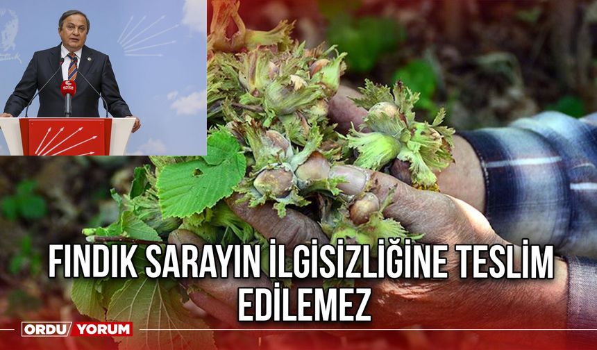 Fındık Sarayın İlgisizliğine Teslim Edilemez