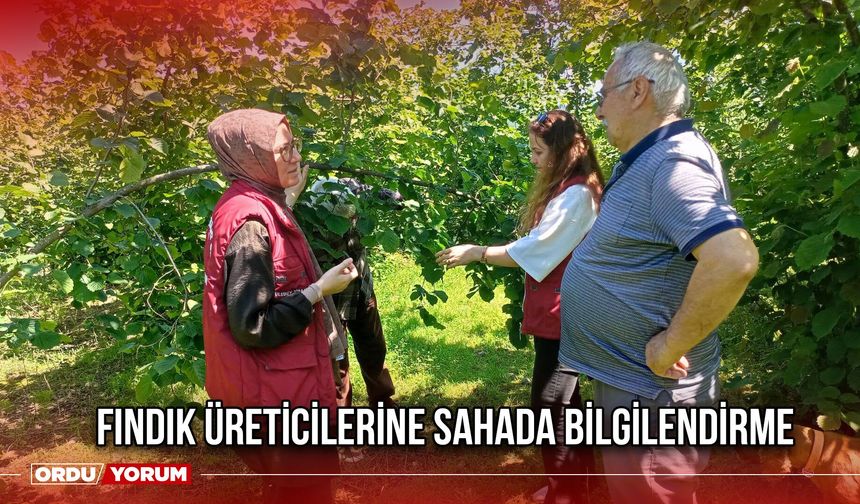 Fındık Üreticilerine Sahada Bilgilendirme