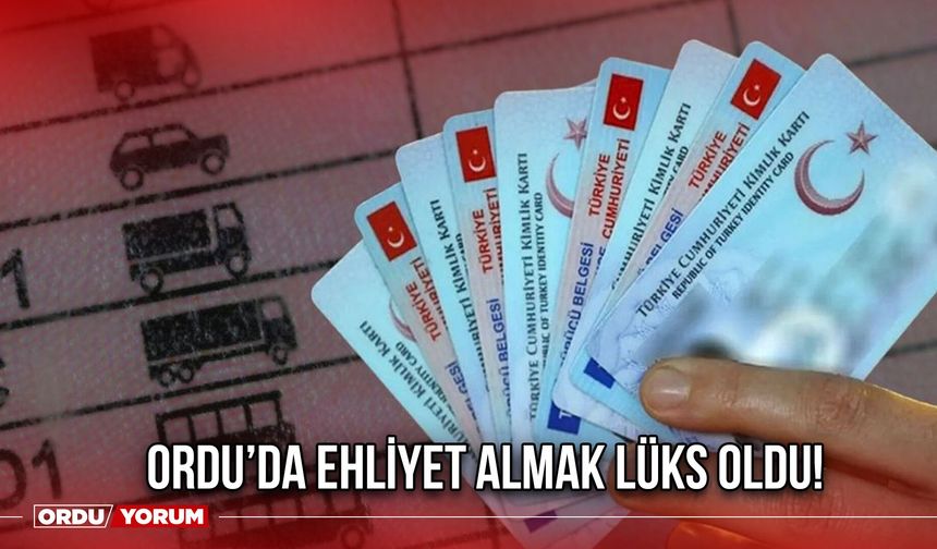 Ordu'da Ehliyet Almak Lüks Oldu!