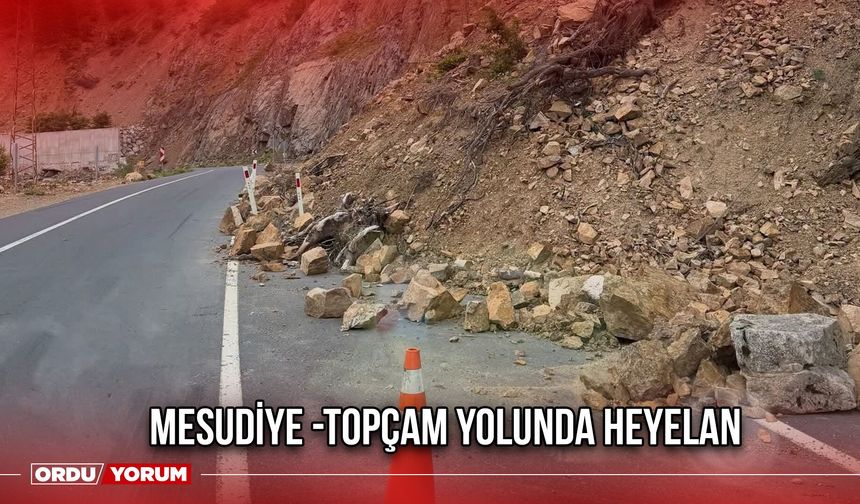 Mesudiye -Topçam Yolunda Heyelan
