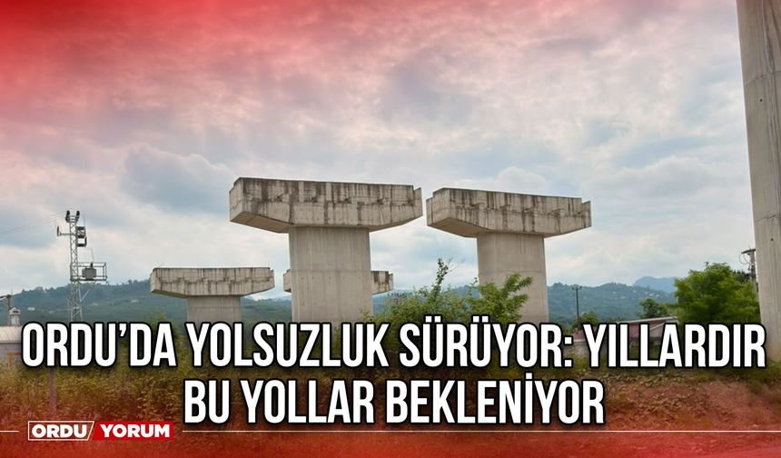 Ordu’da Yolsuzluk Sürüyor: Yıllardır Bu yollar Bekleniyor