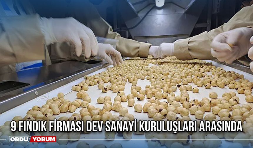 9 Fındık Firması Dev Sanayi Kuruluşları Arasında