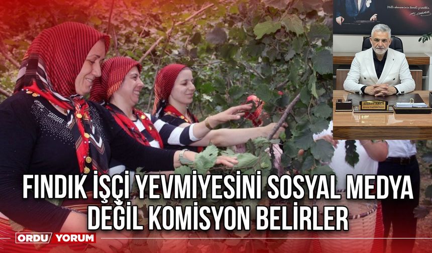 Fındık İşçi Yevmiyesini Sosyal Medya Değil Komisyon Belirler