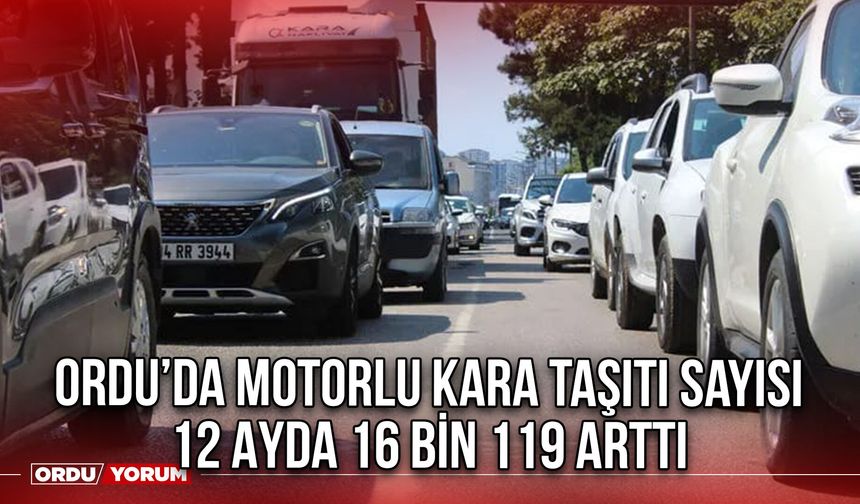 Ordu’da Motorlu Kara Taşıtı Sayısı 12 Ayda 16 Bin 119 Arttı