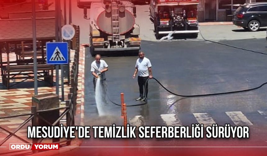 Mesudiye'de Temizlik Seferberliği Sürüyor