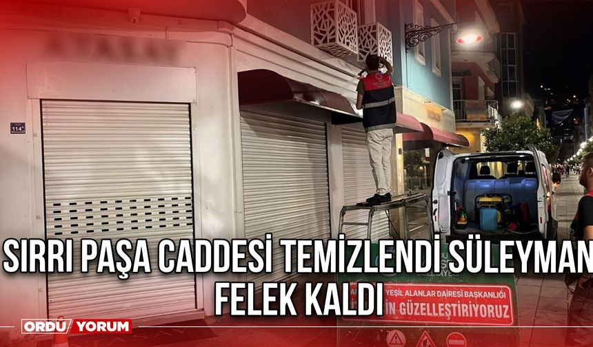 Sırrı Paşa Caddesi Temizlendi Süleyman Felek Kaldı