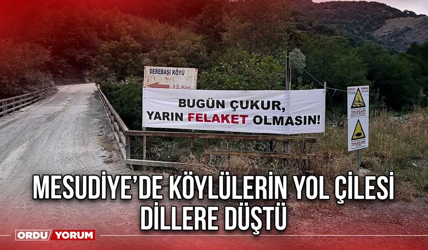 Mesudiye’de Köylülerin Yol Çilesi Dillere Düştü