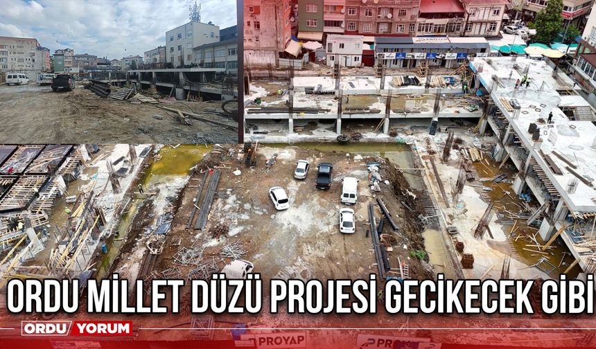 Ordu Millet Düzü Projesi Gecikecek Gibi