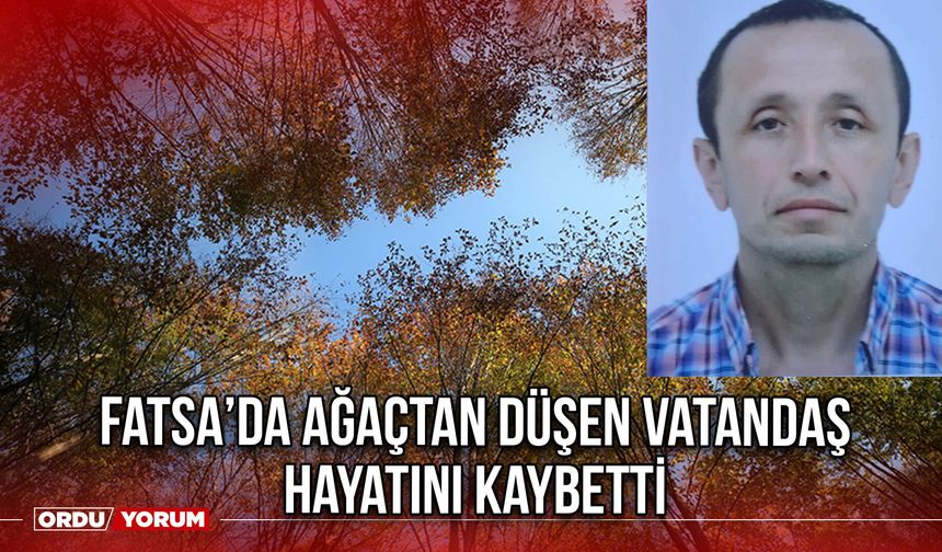 Fatsa’da Ağaçtan Düşen Vatandaş hayatını Kaybetti