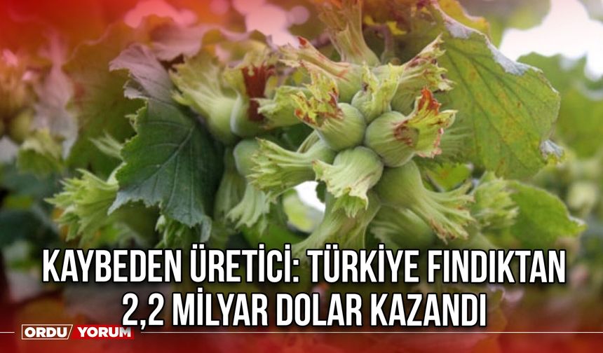 Kaybeden Üretici: Türkiye Fındıktan 2,2 Milyar Dolar Kazandı