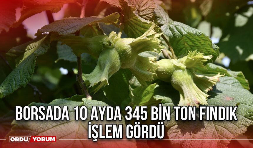 Borsada 10 Ayda 345 Bin Ton Fındık İşlem Gördü