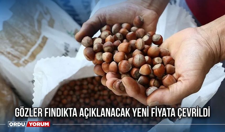 Gözler Fındıkta Açıklanacak Yeni Fiyata Çevrildi