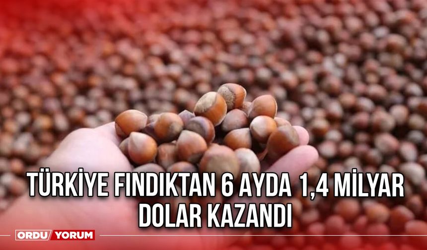 Türkiye Fındıktan 6 Ayda 1,4 Milyar Dolar Kazandı