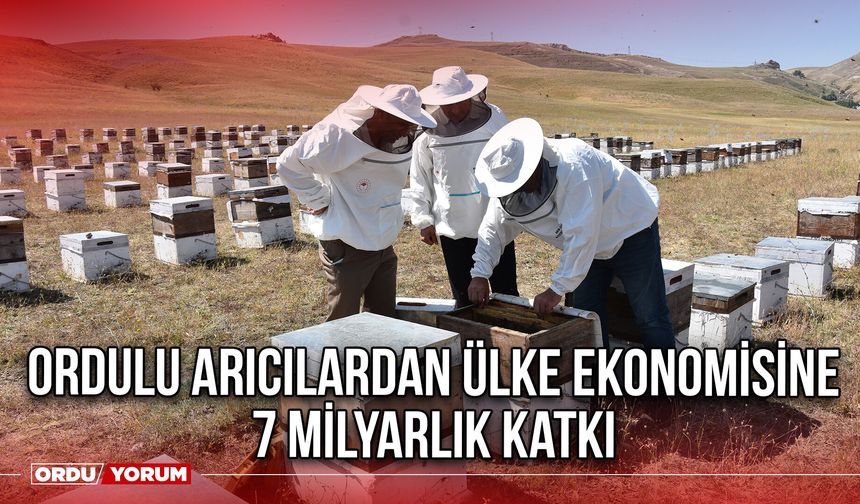 Ordulu Arıcılardan Ülke Ekonomisine 7 Milyarlık Katkı