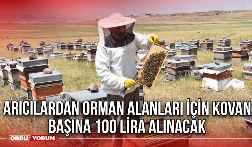 Arıcılardan Orman Alanları İçin Kovan Başına 100 Lira Alınacak