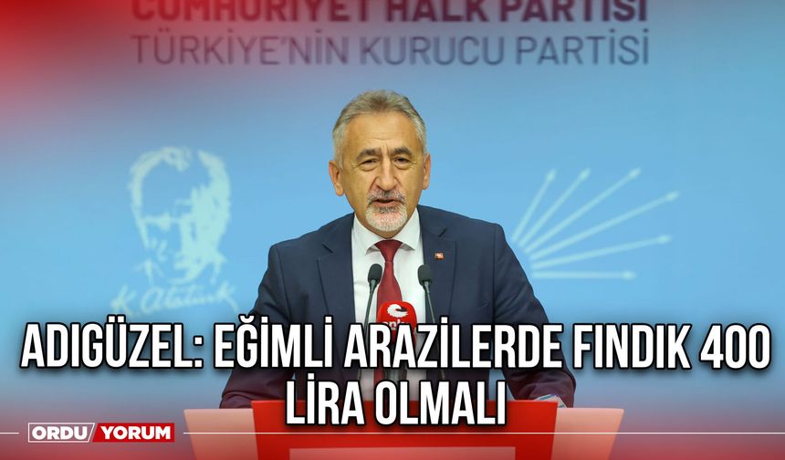 Adıgüzel: Eğimli Arazilerde Fındık 400 Lira Olmalı