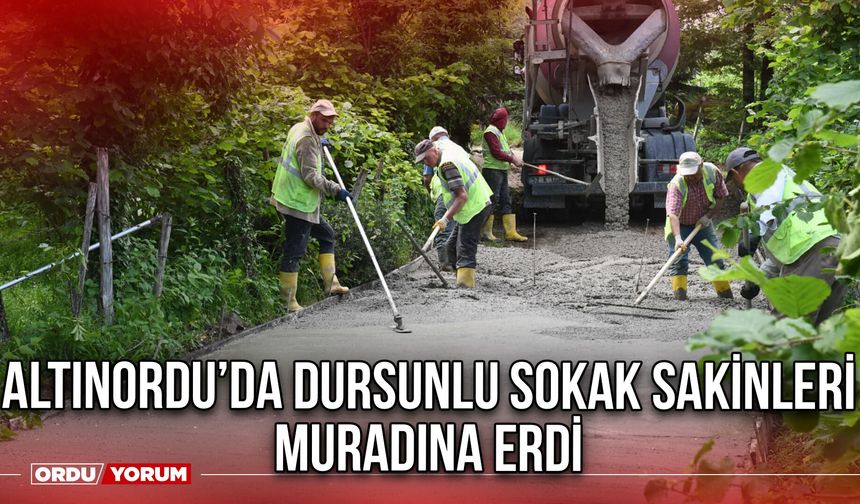 Altınordu'da Dursunlu Sokak Sakinleri Muradına Erdi