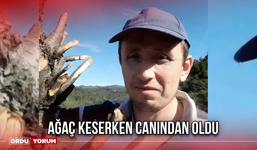 Ağaç Keserken Canından Oldu