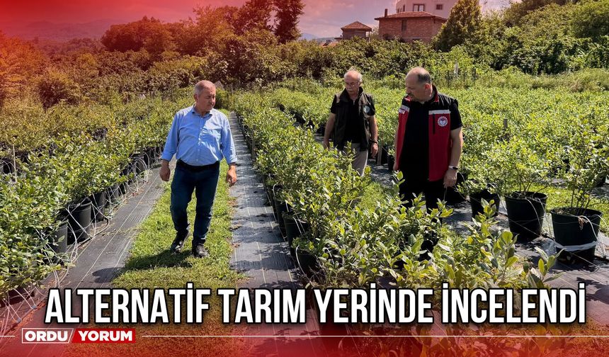 Alternatif Tarım Yerinde İncelendi