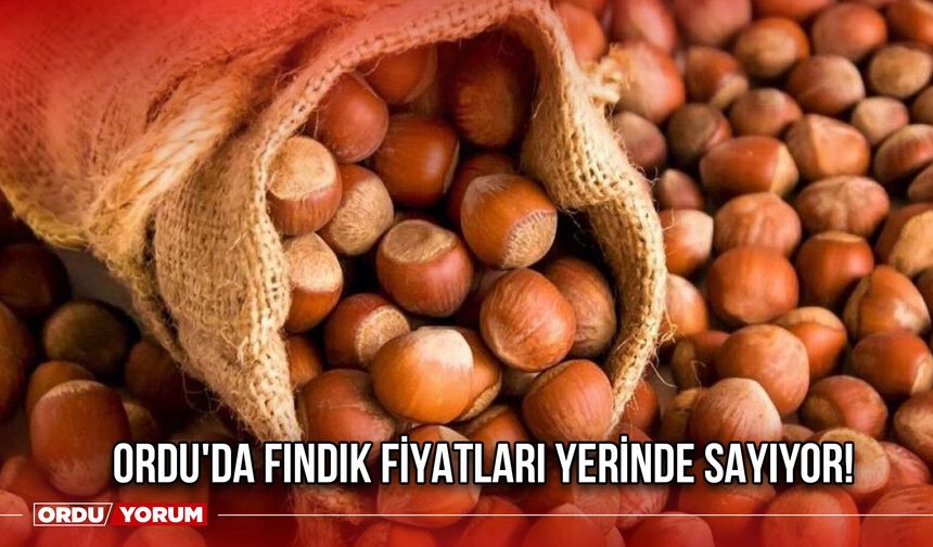 Ordu'da Fındık Fiyatları Yerinde Sayıyor!