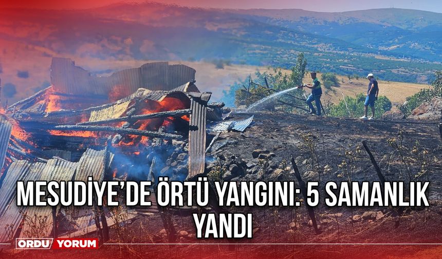 Mesudiye’de Örtü yangını: 5 Samanlık Yandı