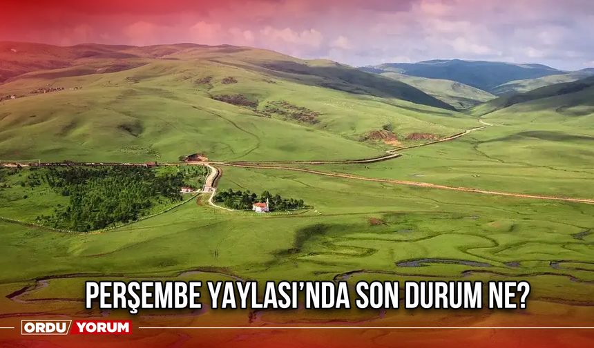 Perşembe Yaylası’nda Son Durum Ne?