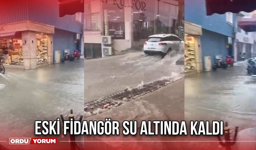 Eski Fidangör Su Altında Kaldı