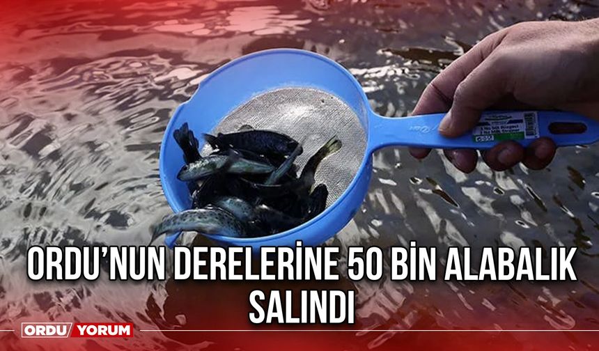 Ordu’nun Derelerine 50 Bin Alabalık Salındı