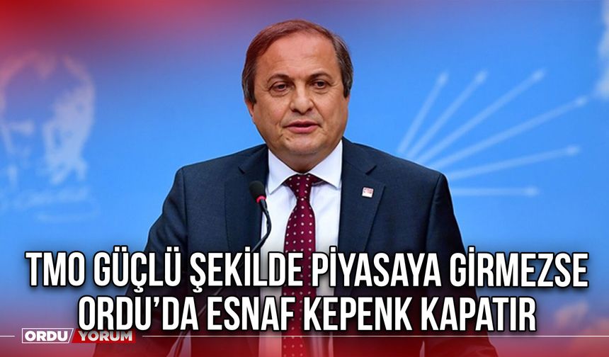 TMO Güçlü Şekilde Piyasaya Girmezse Ordu’da Esnaf Kepenk Kapatır