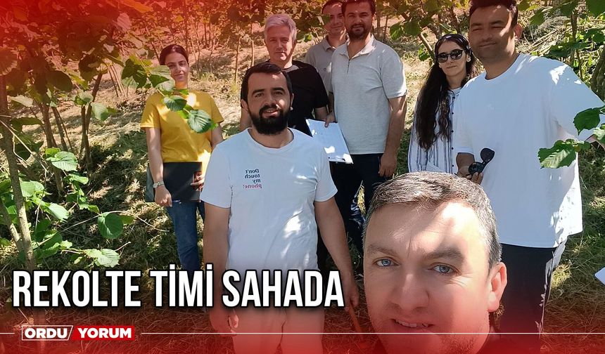 Rekolte Timi Sahada