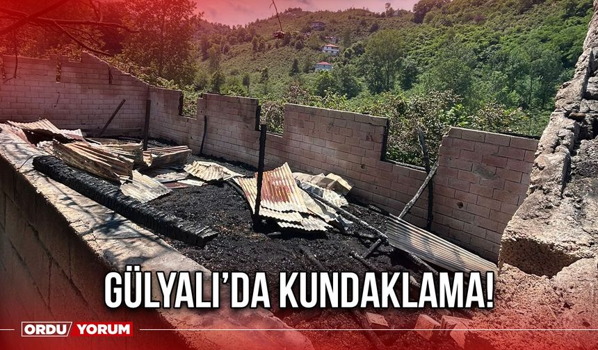 Gülyalı’da Kundaklama!