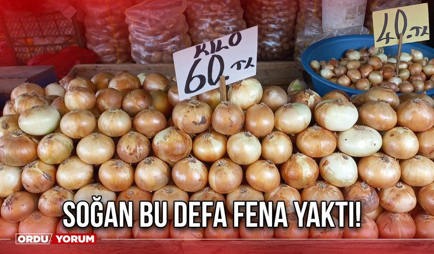 Soğan Bu Defa Fena Yaktı!
