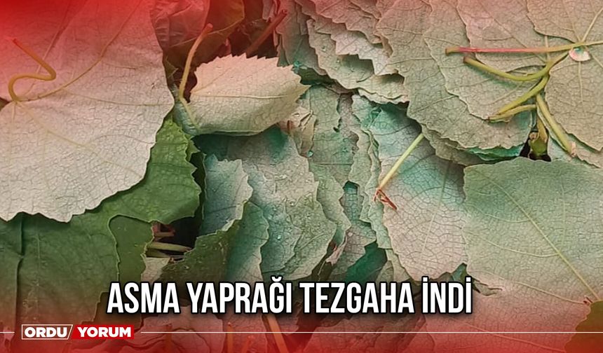 Asma Yaprağı Tezgaha İndi